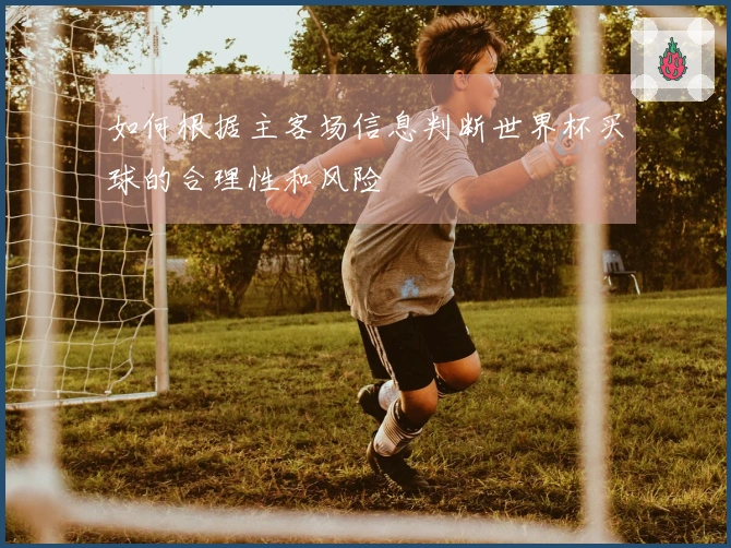 如何根据主客场信息判断世界杯买球的合理性和风险