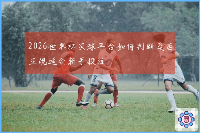 2026世界杯买球平台如何判断是否正规适合新手投注