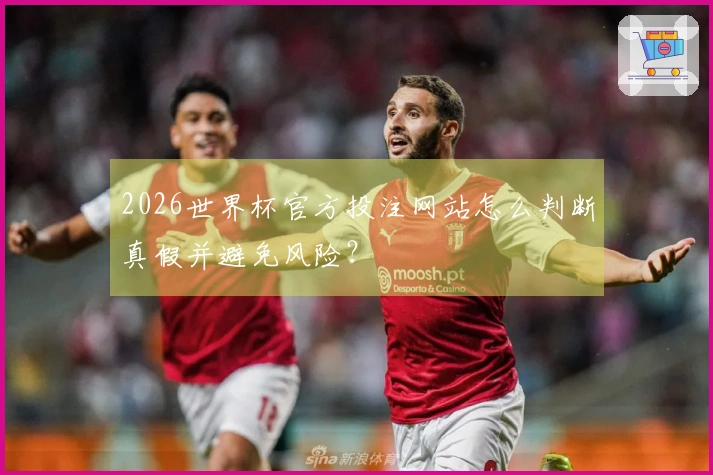 2026世界杯官方投注网站怎么判断真假并避免风险？
