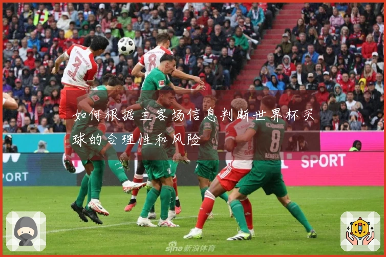 如何根据主客场信息判断世界杯买球的合理性和风险